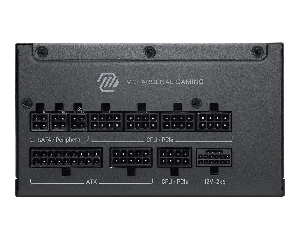 MSI MAG A1200PLS PCIE5 unidad de fuente de alimentación 1200 W 20+4 pin ATX ATX Negro